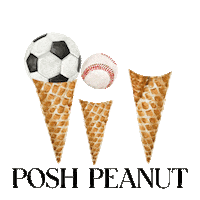 Ice Cream Soccer Sticker by Posh Peanut