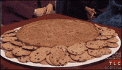 GIF by joerocco