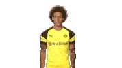 happy borussia dortmund Sticker by Bundesliga