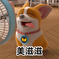 mocoaifay animation dog cartoon corgi GIF