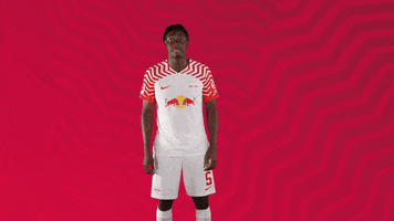 Football No GIF by RB Leipzig