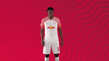 Football Smile GIF by RB Leipzig