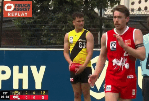 beartorius vfl afl richmond beau GIF