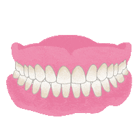 Denture Sticker