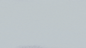 Nascar Racing Sport GIF by NASCAR