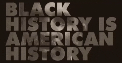 mikechisley black history month black history black history is american history GIF