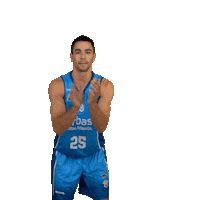 Liga Endesa Applause Sticker by ACB