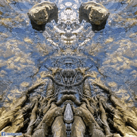 water distort GIF by Psyklon