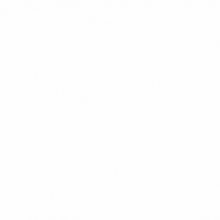 Fun Love GIF by Pierce Camps