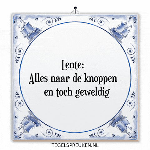 Nl Spreuk GIF by Tegelspreuken.nl