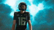 Oregon Football GIF by GoDucks