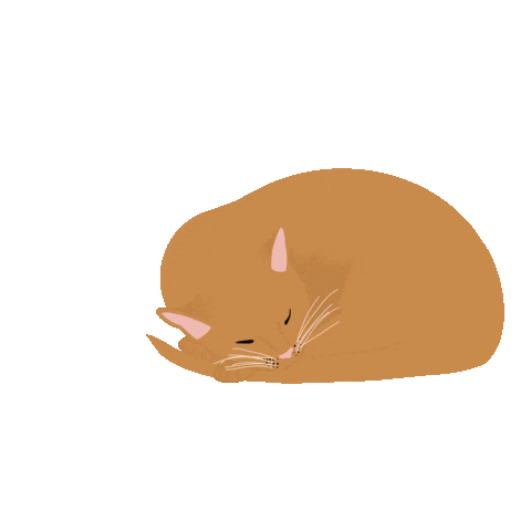 Tabby Cat Sticker