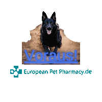 Sv Unter Sticker by Europeanpetpharmacy
