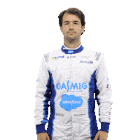 Driver Piloto Sticker by Porsche GT3 Cup Brasil