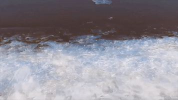 Ice Stacking Creates 'Cool Sounds' Along Shore