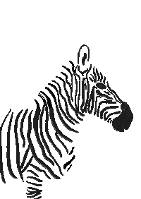 Black And White Horse Sticker