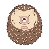 petforest hedgehog 고양이 강아지 사랑해 Sticker