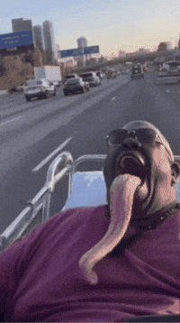 Cat Car GIF