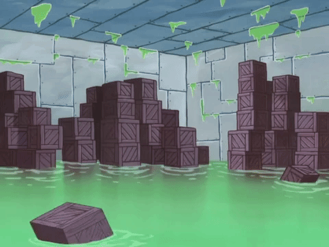 season 8 GIF by SpongeBob SquarePants