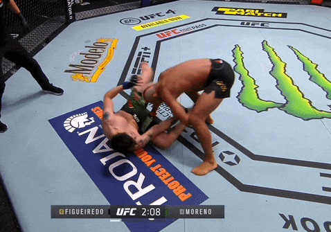 giphy.gif