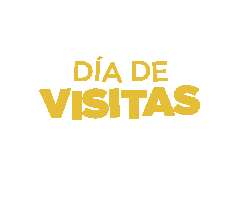 Life Casa Sticker by Gardensdesarrollosinmobiliarios