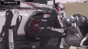 Racing Charlotte GIF by NASCAR