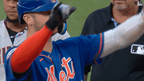 Celebration Yes GIF by New York Mets