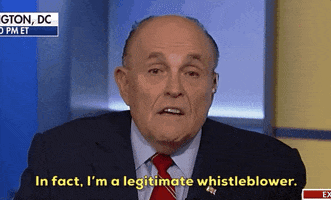news rudy giuliani GIF