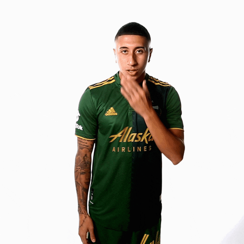 Portland Timbers Sport GIF by Timbers