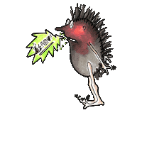 Mad Hedgehog Sticker