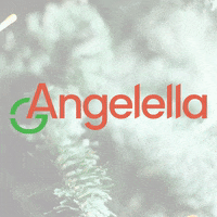 angelella_official natale pordenone friuli sacile GIF