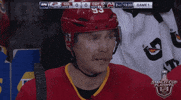 Ice Hockey Sport GIF by NHL