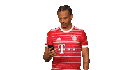 Oh No Football Sticker by Bundesliga