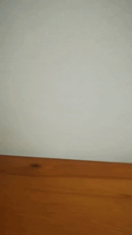 Simongip giphygifmaker GIF