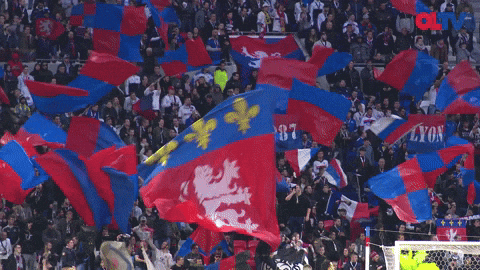fans lyon GIF by Olympique Lyonnais