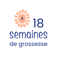 Pregnancy Grossesse Sticker by Absorba