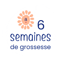 Pregnancy Grossesse Sticker by Absorba