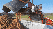 ASA-LIFT vegetables harvest onion carrots GIF