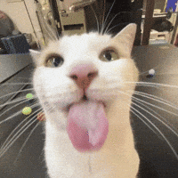 Blehhh GIF