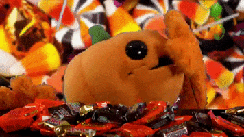 AtmosFX halloween candy pumpkin atmosfx GIF