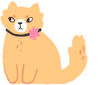 ruillu cat illustration cats meow Sticker