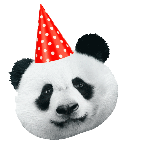 Party Love Sticker by Panda