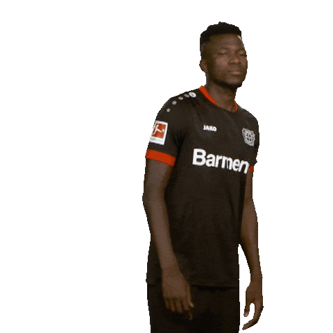 Posing Bayer 04 Sticker by Bundesliga