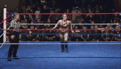 Dive GIF