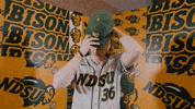Baseball Bison GIF by NDSU Athletics