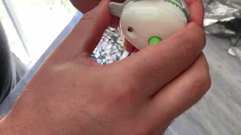 hayimpinson giphygifmaker GIF