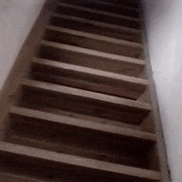 Halloween Falling GIF