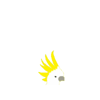 Bird Australia Sticker by NutHuggerz