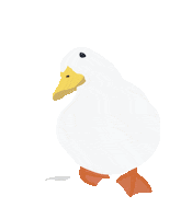 Duck Waddle Sticker