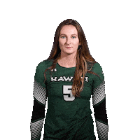 Beach Volleyball Sticker by Hawaii Athletics